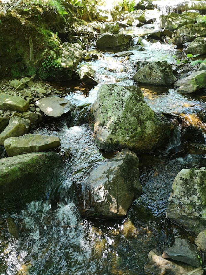 Beautiful stream flowing over moss-covered rocks in a serene natural setting under sunlight.